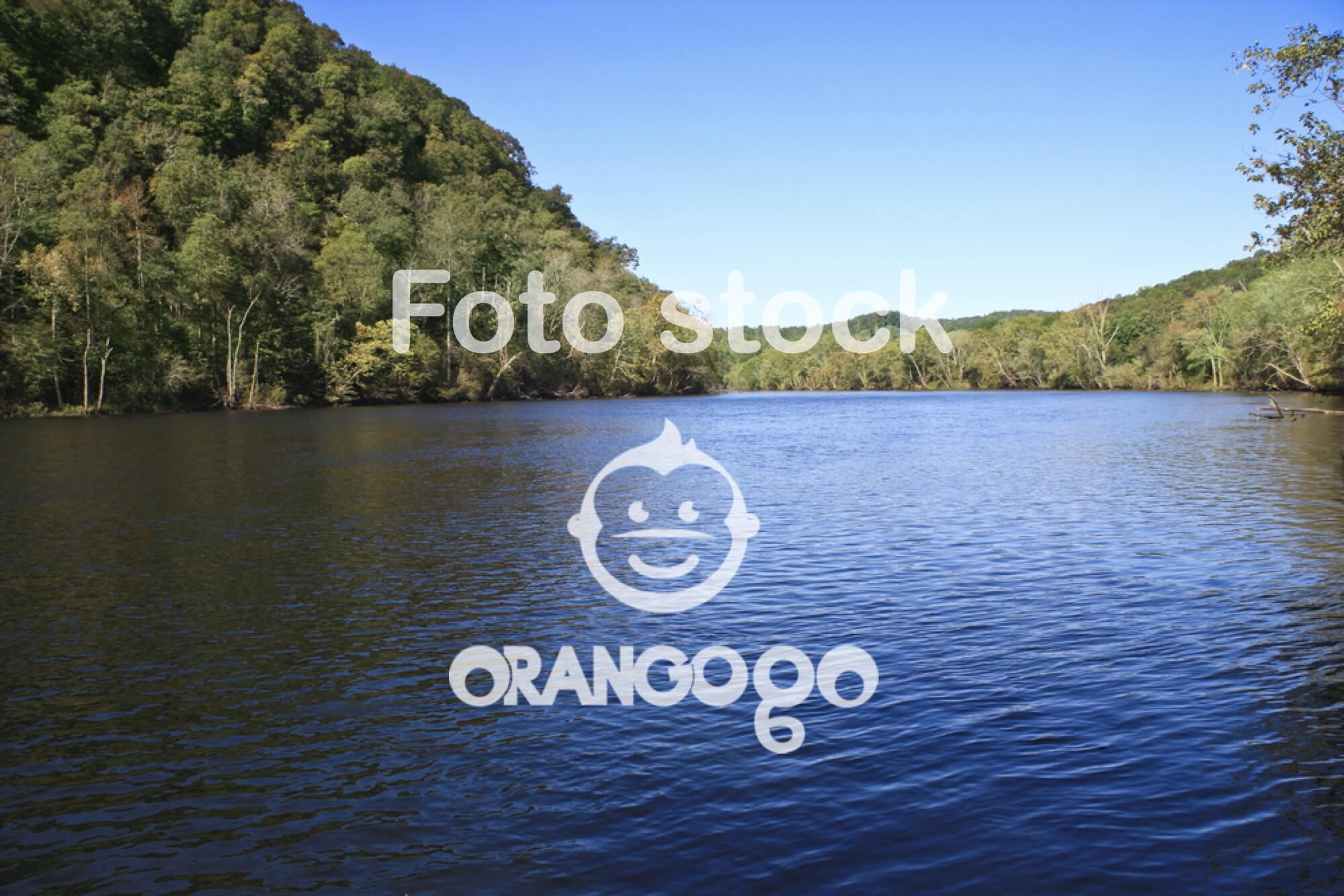 A.S.D AMICI PESCATORI FOSSANESI